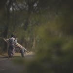A person confidently making a choice at a forked road, with one path fading into clutter and the other toward clarity and focus.