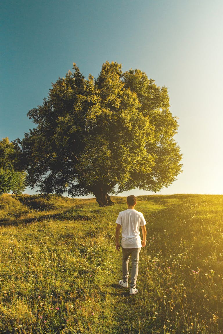 A person enjoying a peaceful morning hike with no phone in sight.