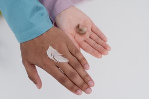 Two hands of different skin tones holding delicate feathers on a light background.